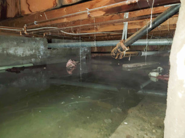 Water damage restoration mold remediation in West Liberty, IA