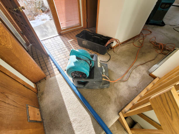 Best Flood damage cleanup  in West Liberty, IA