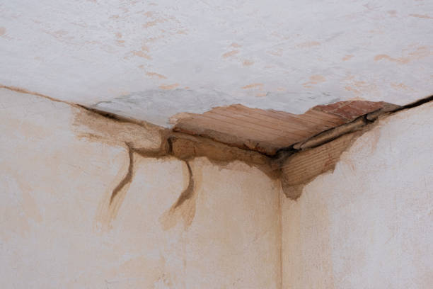 Best Flood damage cleanup  in West Liberty, IA