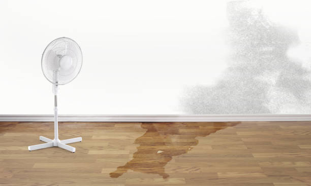 Best Commercial water damage restoration  in West Liberty, IA