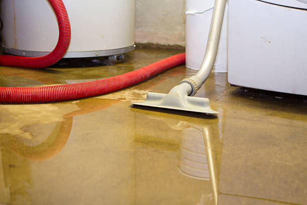 Best Ceiling water damage repair  in West Liberty, IA