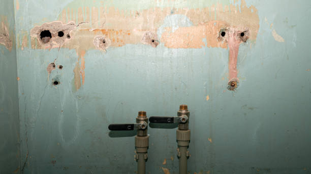 Reliable West Liberty, IA Water damage restoration Solutions